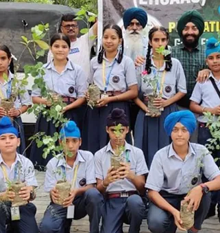 Plantation drive photo