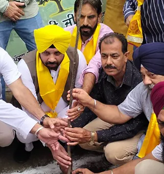 Plantation drive photo