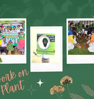 Plantation drive photo